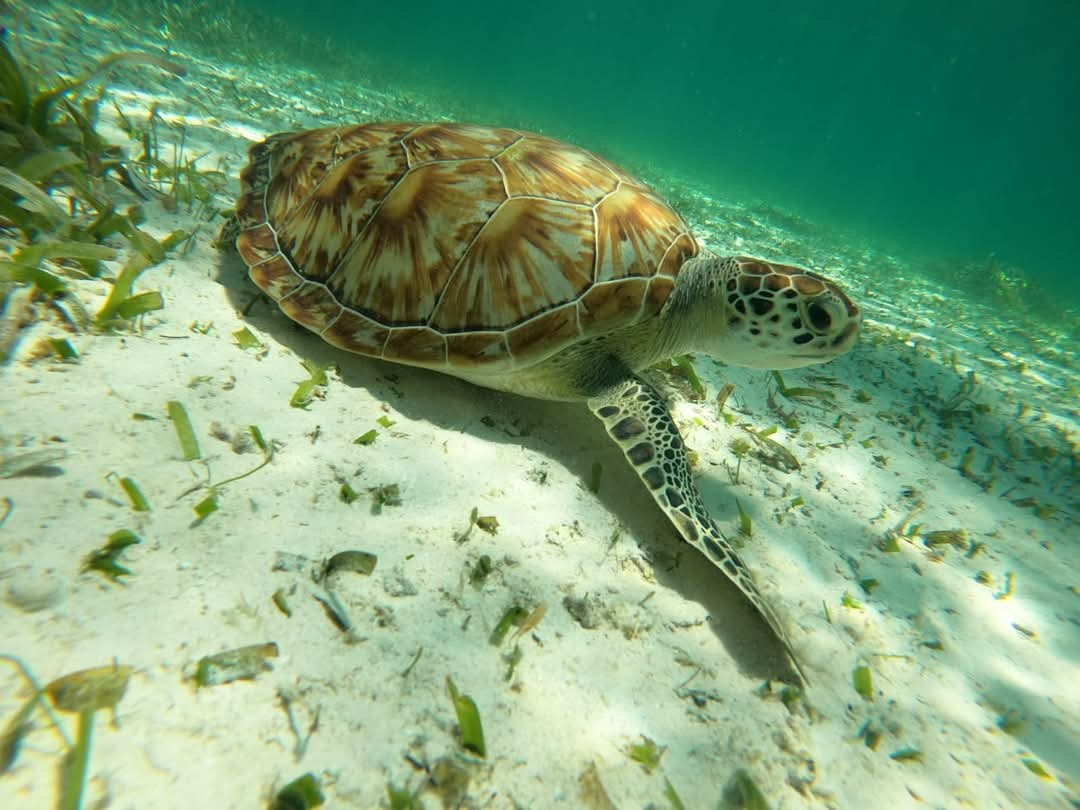 Hospedaje Bacalar, Riviera Maya